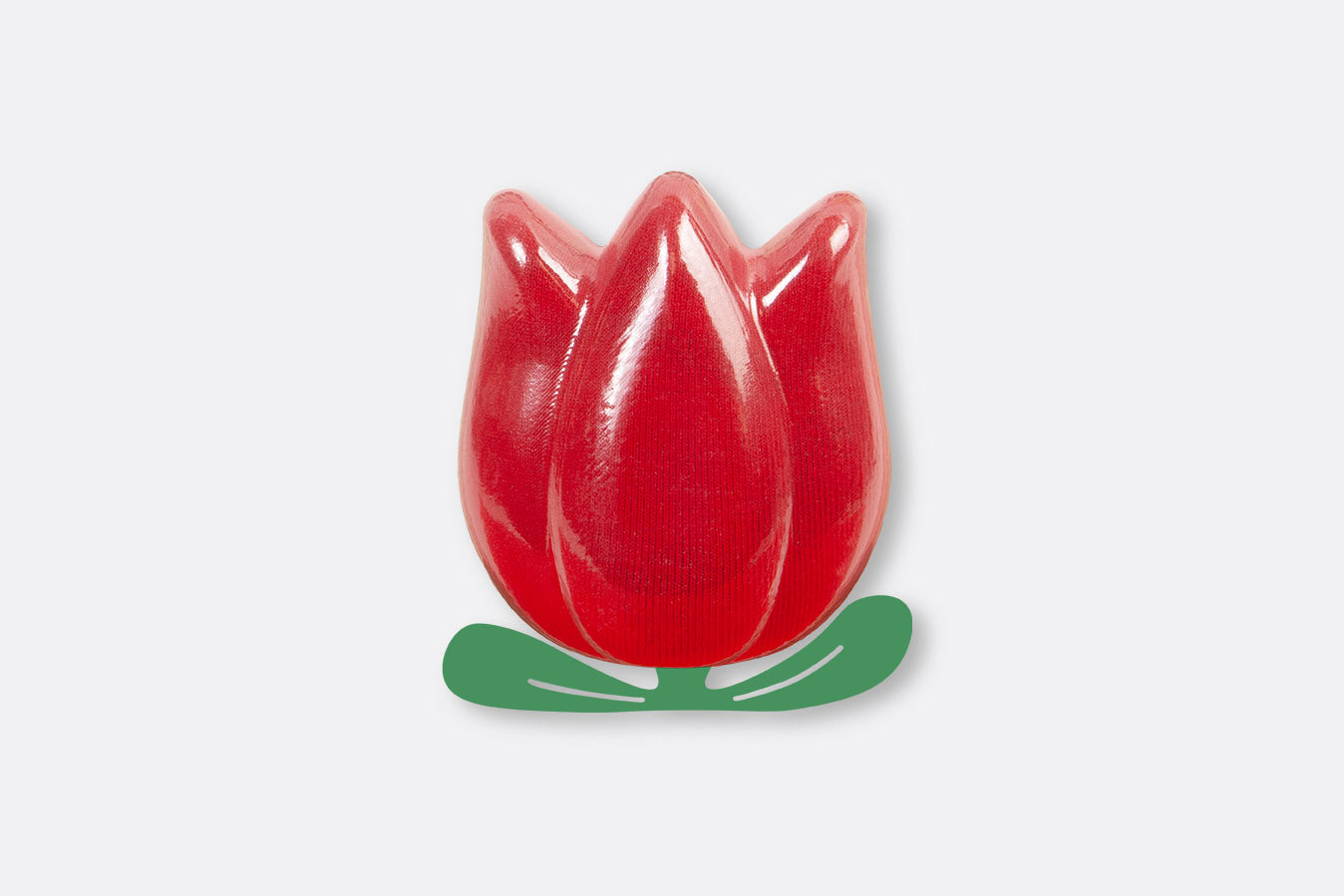 Blooming Tulip