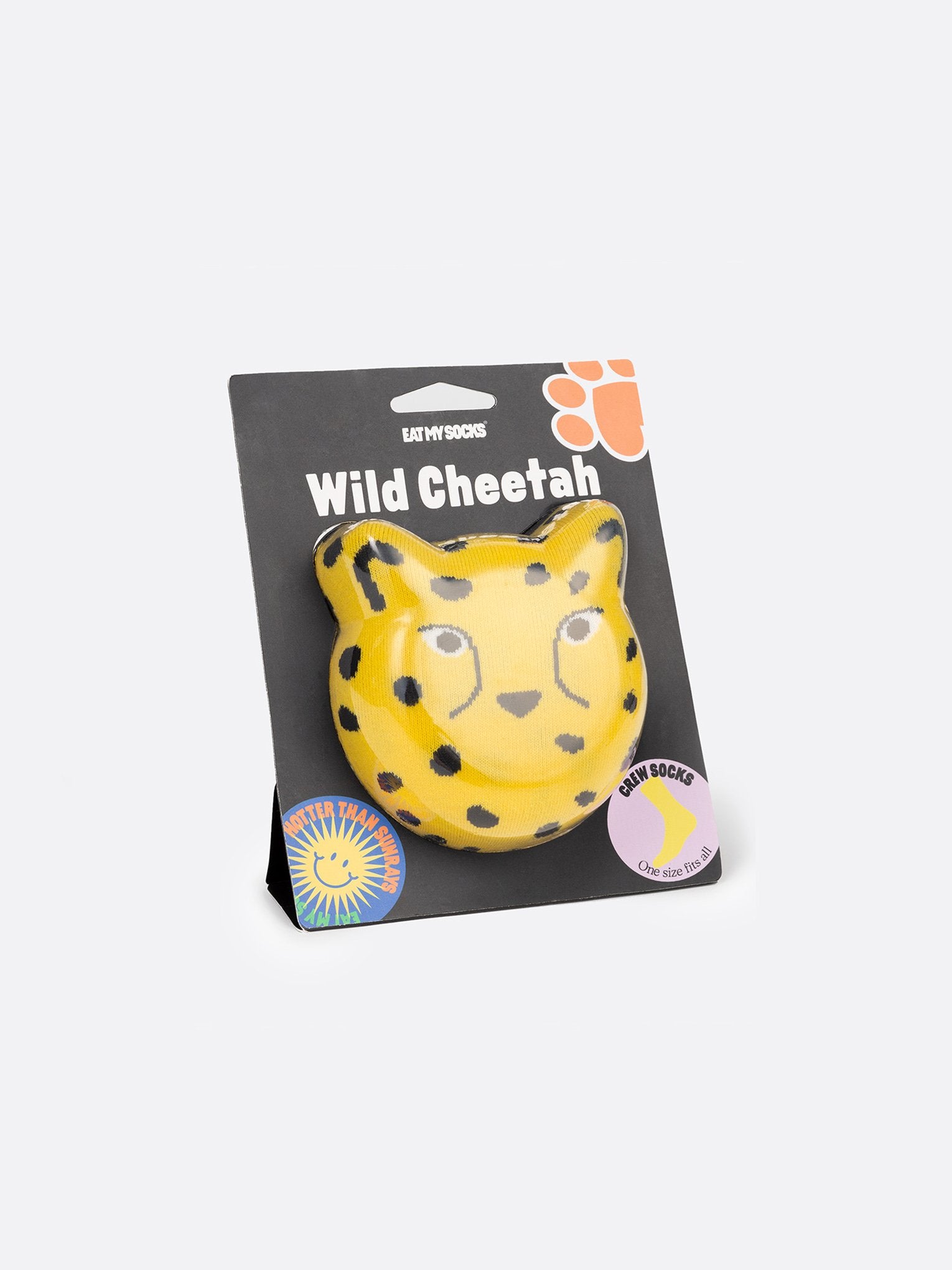 Wild Cheetah