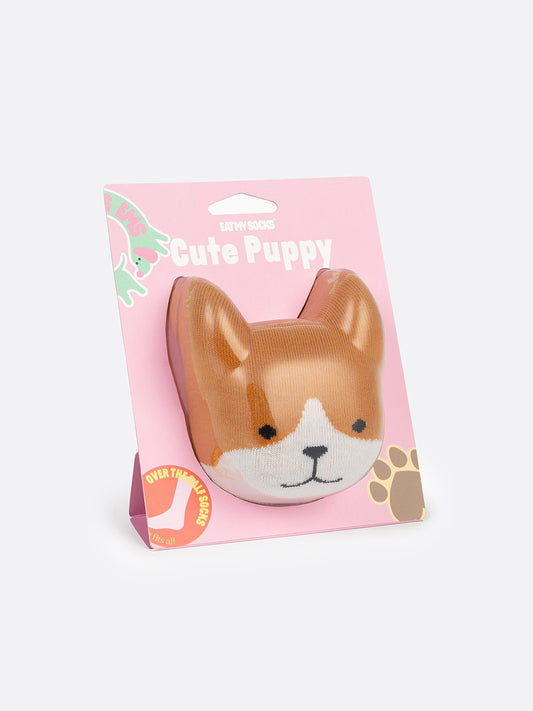 Cute Puppy