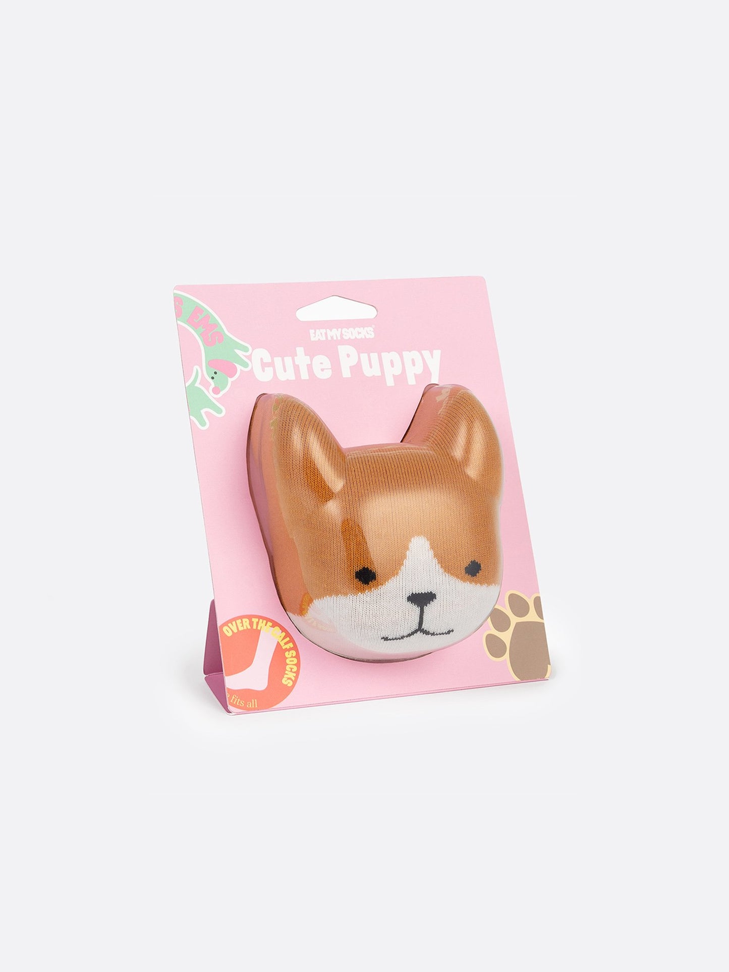 Cute Puppy
